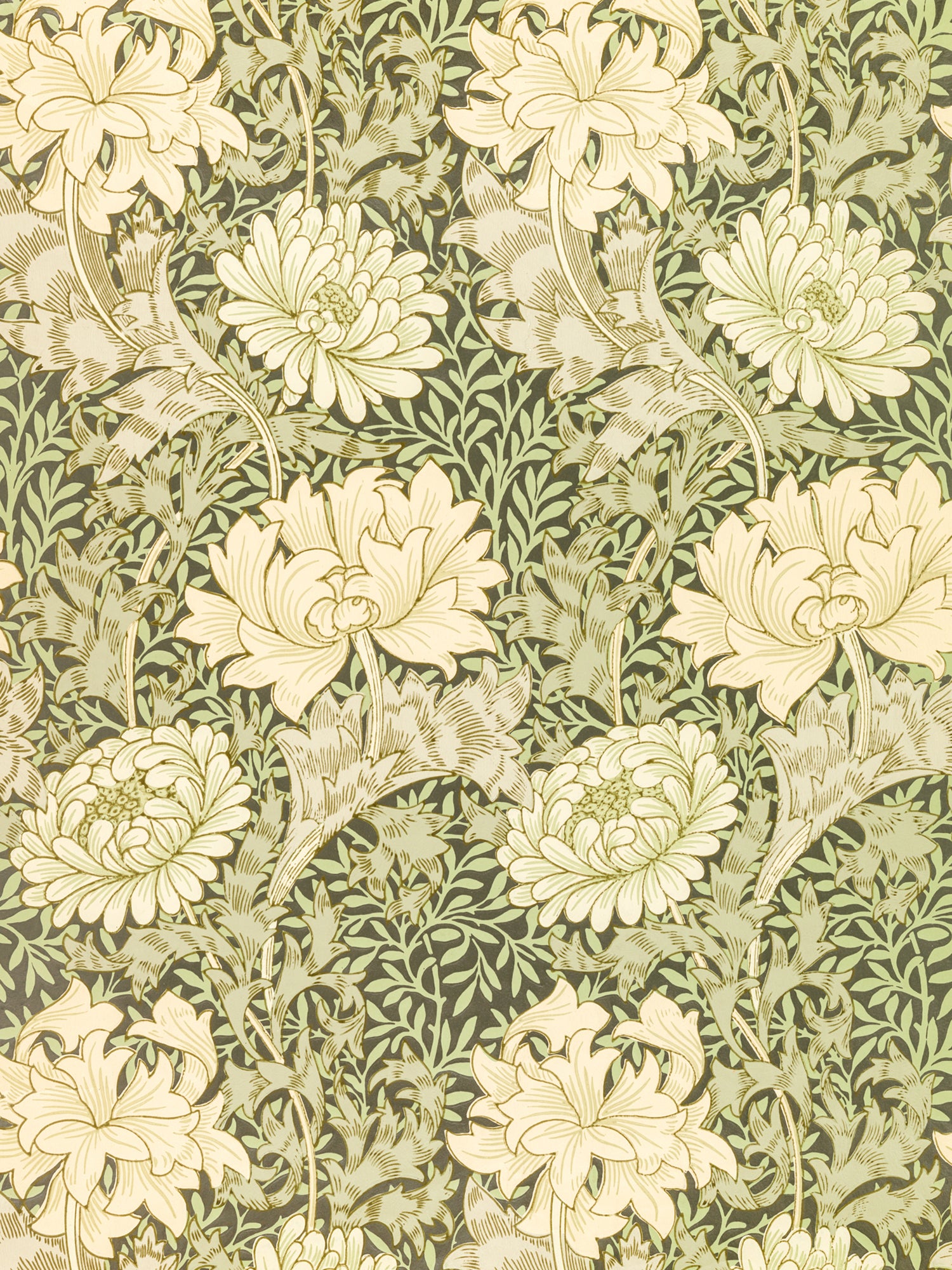 Polár takaró (William Morris - Chrysanthemum)