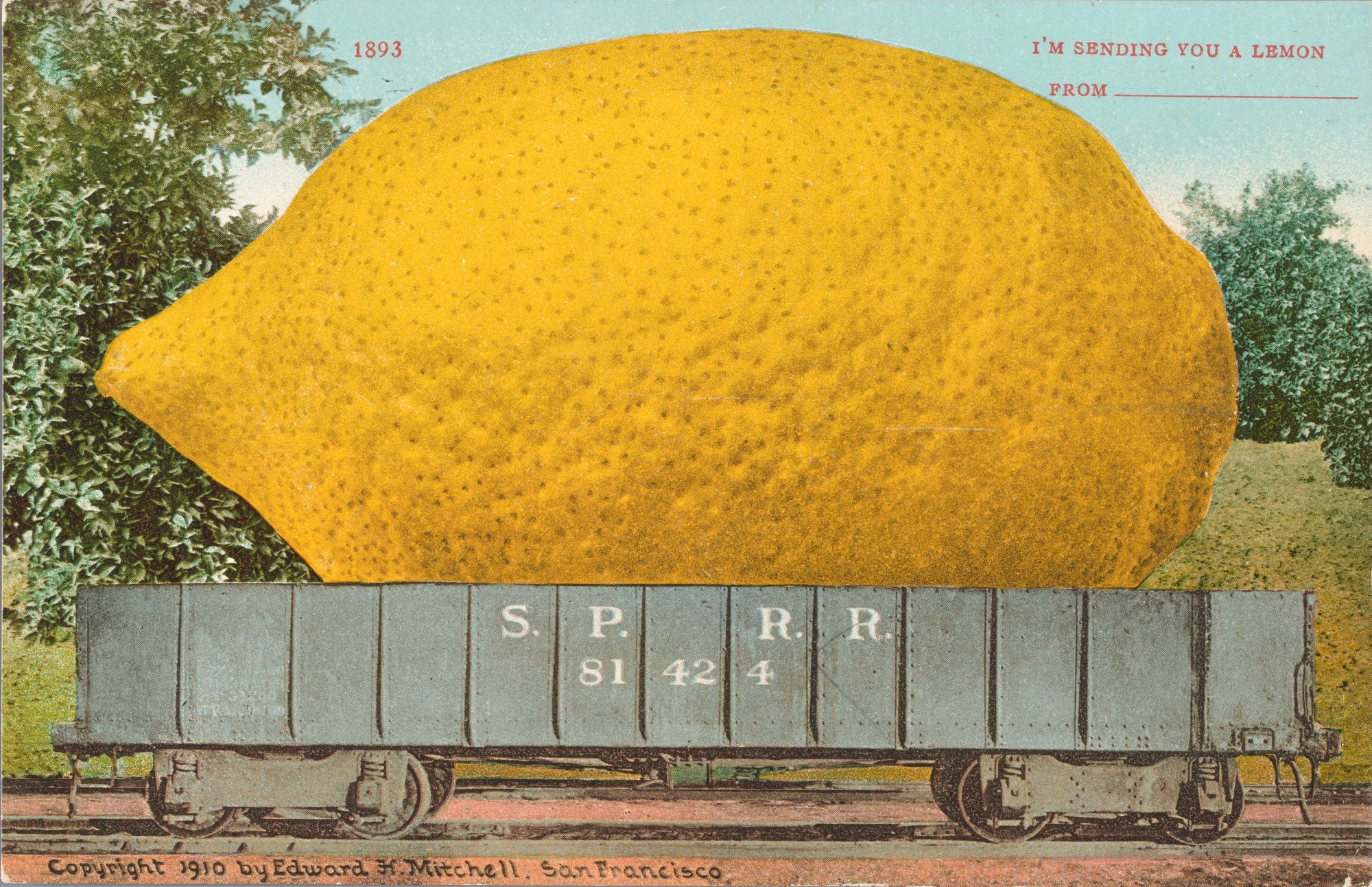 Hosszú ujjú póló (Edward H. Mitchell - I'm Sending You a Lemon)