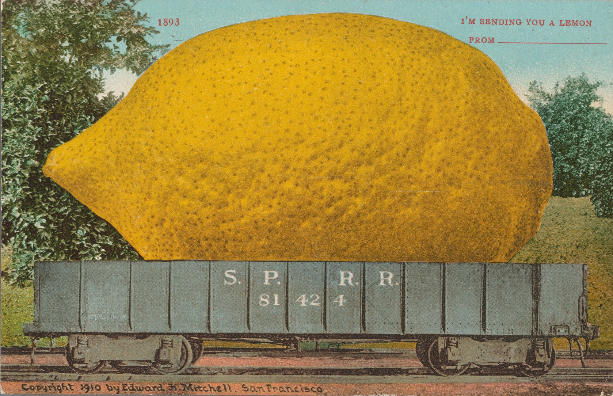 Oversized póló (Edward H. Mitchell - I'm Sending You a Lemon)