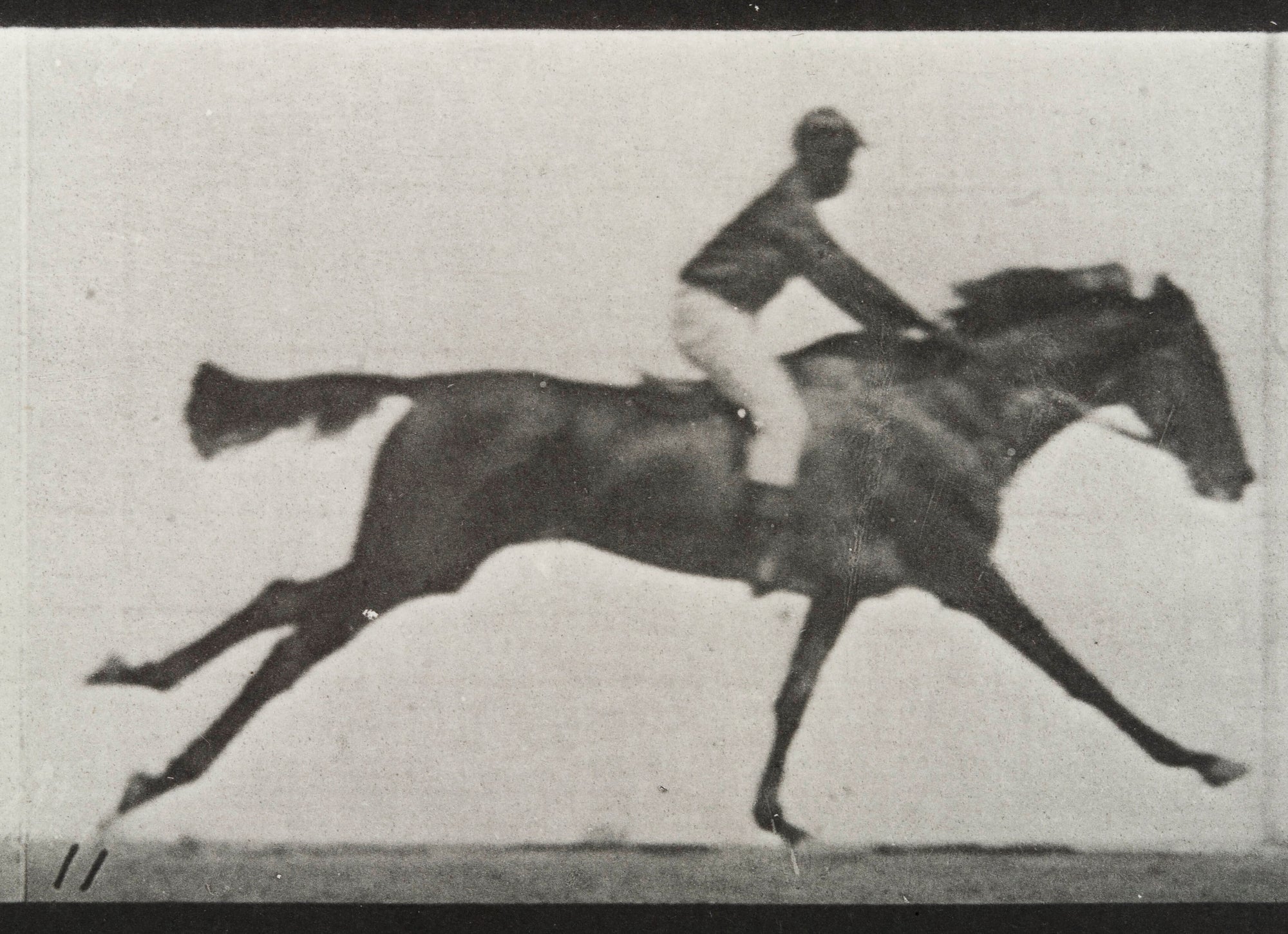 Pamut pulóver - Unisex (Eadweard Muybridge - A galloping horse and rider)