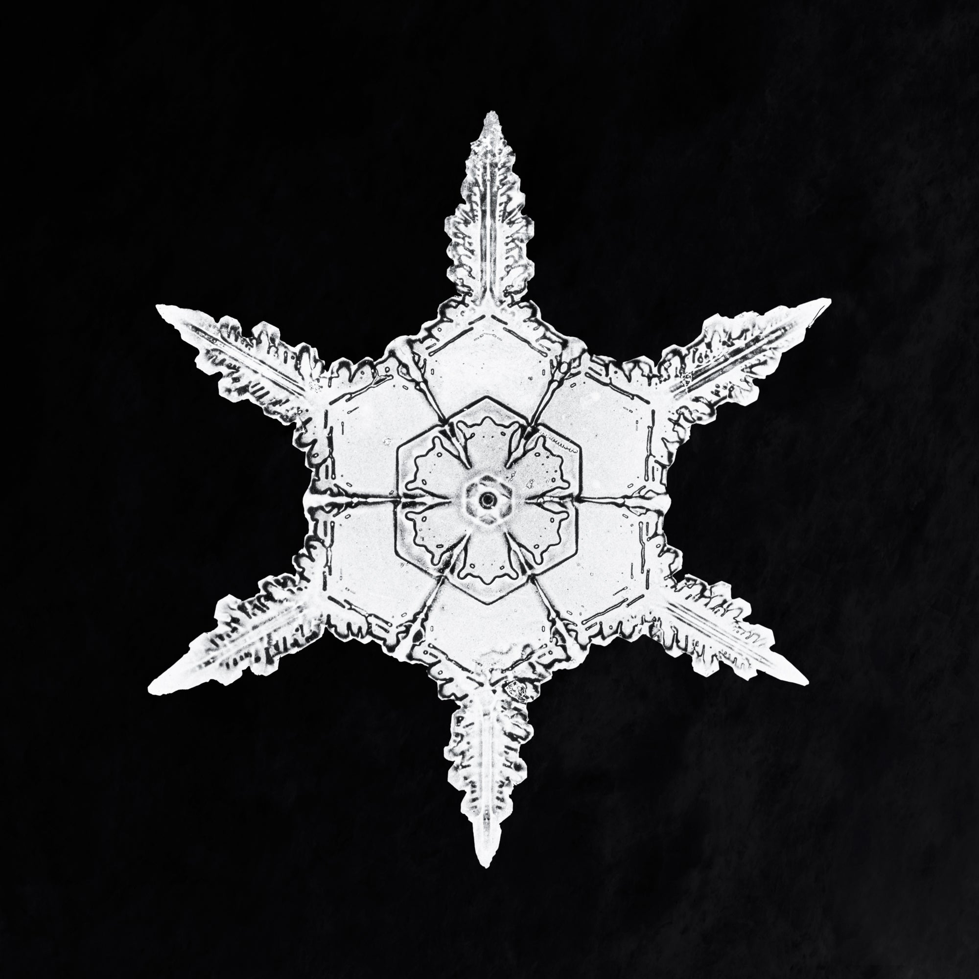 Pamut pulóver - Unisex (Wilson Bentley - Snowflake)