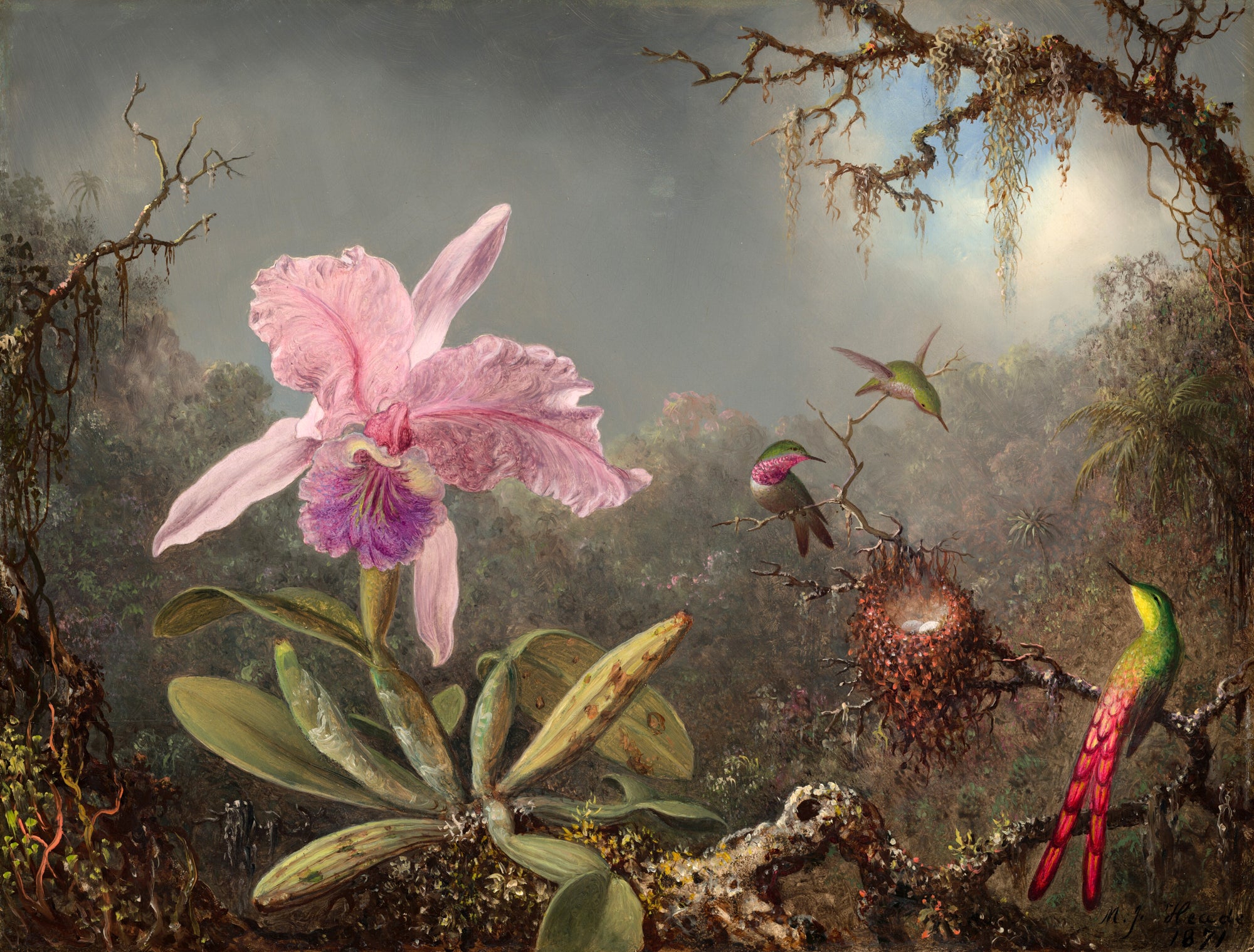 Oversized póló (Martin Johnson Heade - Cattleya Orchid and Three Hummingbirds)