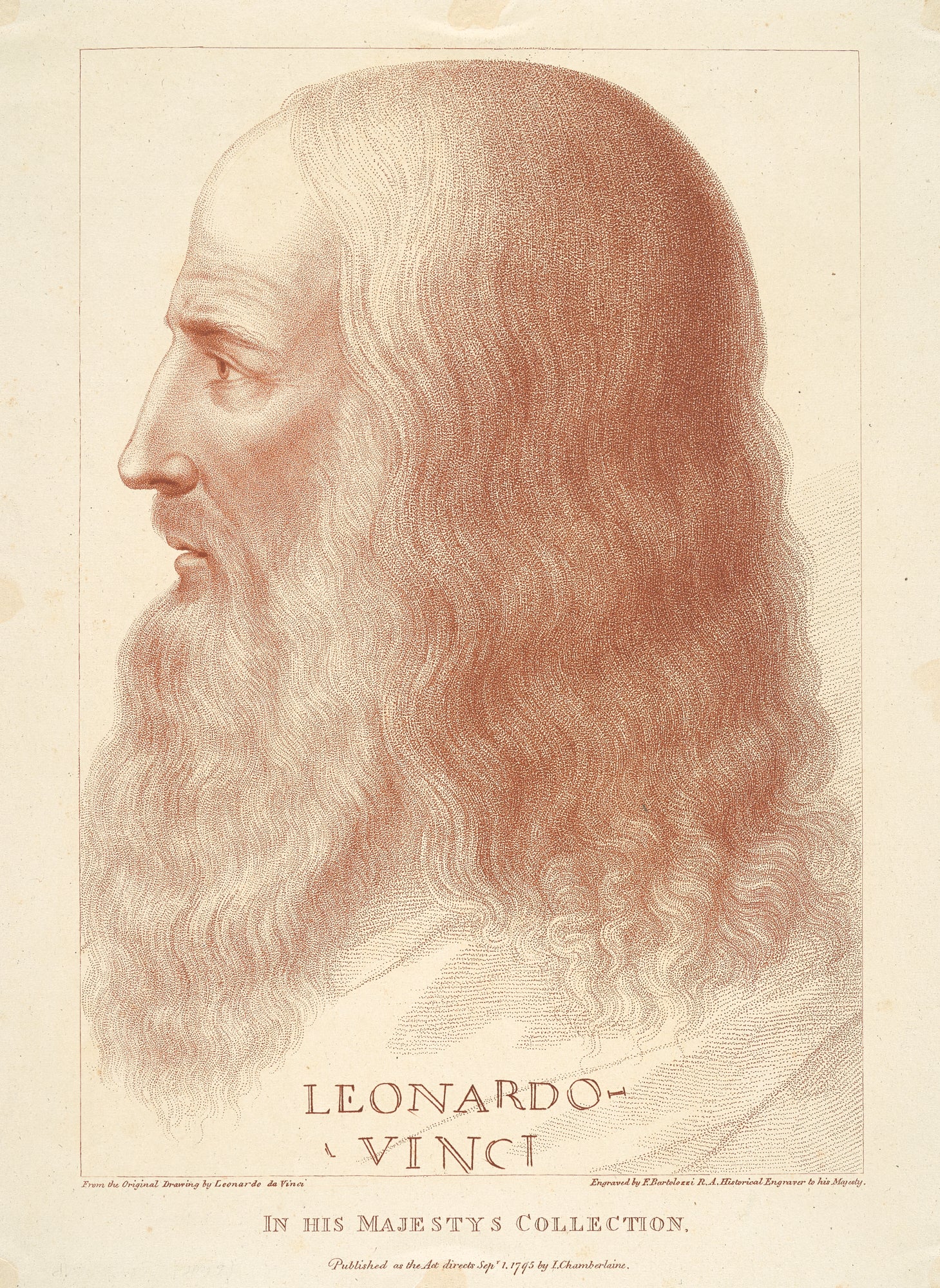 Oversized póló (Francesco Melzi - Portrait of Leonardo)
