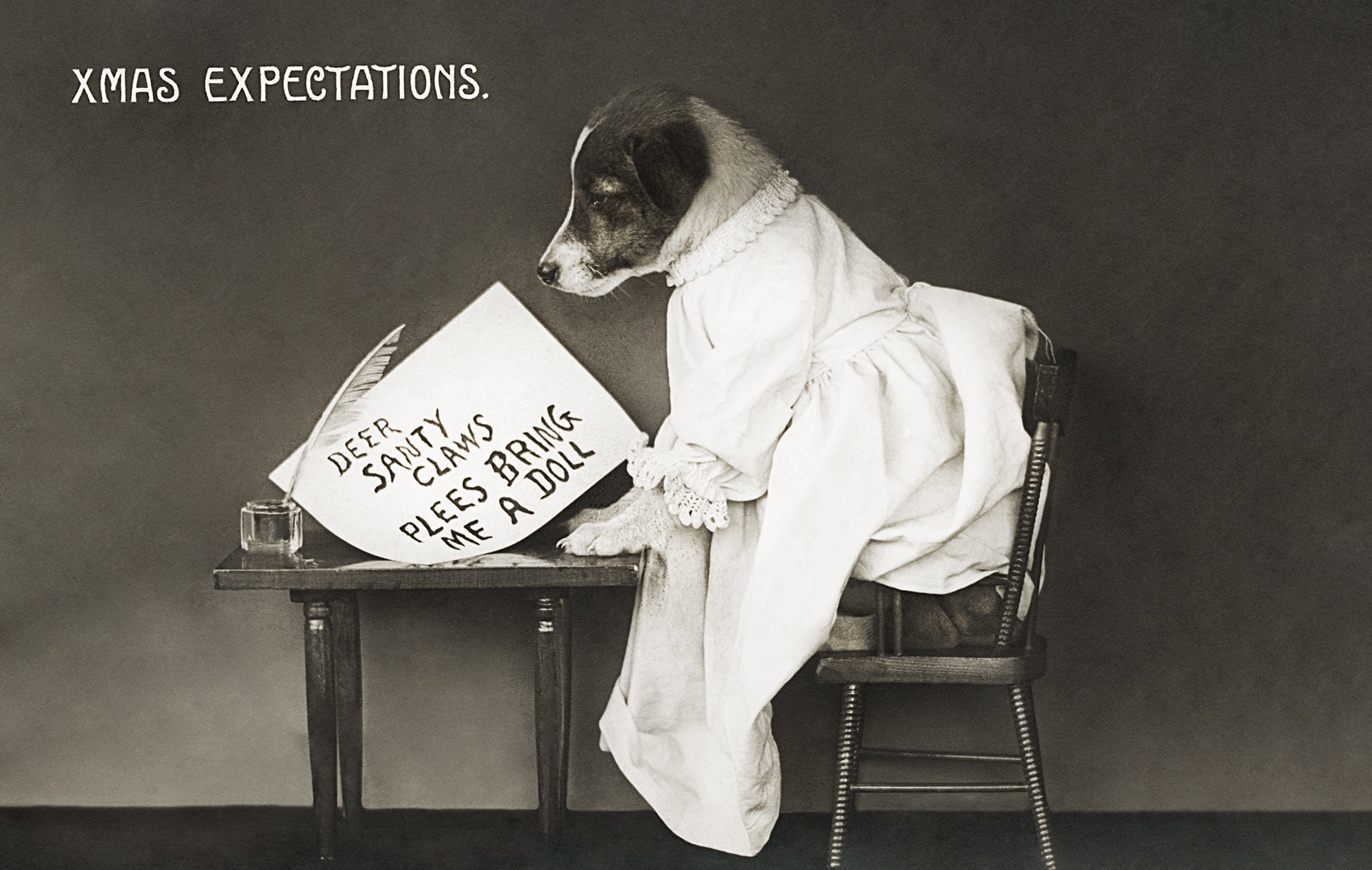 Állat témájú termékek