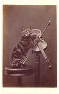 Vázlat füzet (A4) (Henry Pointer-Cat on a stool "playing" a violin )