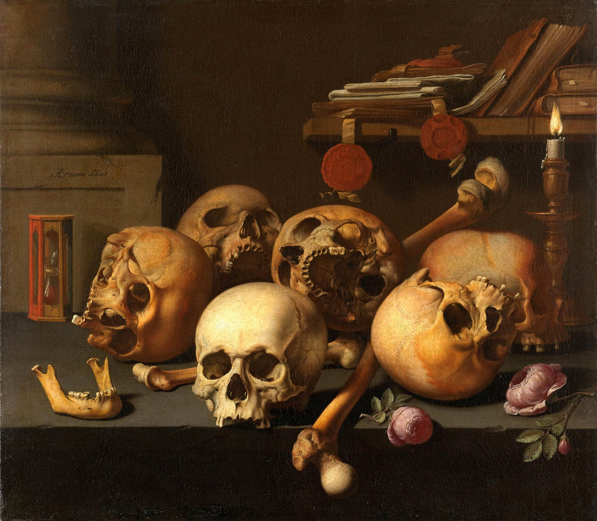 Teli mintás hosszú ujjú póló ( Aelbert Jansz van der Schoor - Vanitas  )