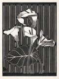 Polár takaró (Samuel Jessurun de Mesquita - Calla Lilies)