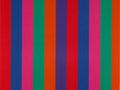 Polár takaró (Alexander Girard - Jacob’s Coat)