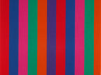 Polár takaró (Alexander Girard - Jacob’s Coat)