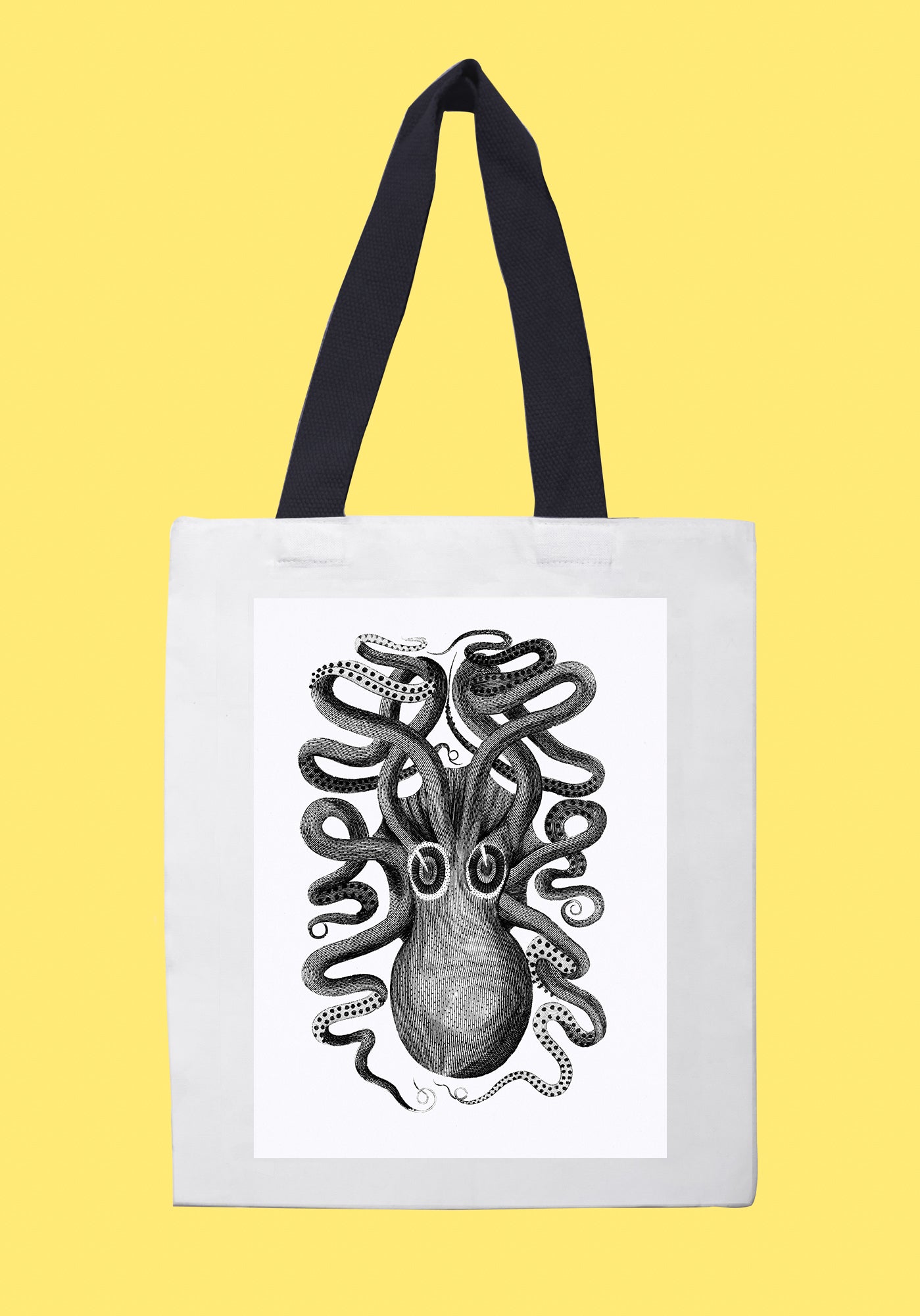 Fehér vászontáska fekete fogantyúval ( George Shaw- Illustration from Zoological lectures)