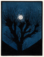 Női trikó (Julie de Graag - Moon Light)