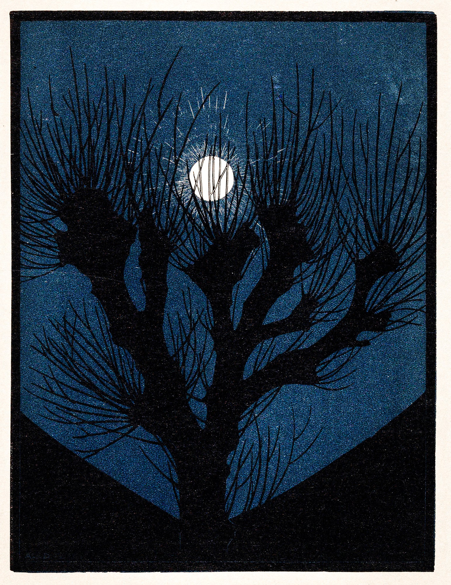 Női trikó (Julie de Graag - Moon Light)