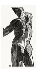 Törölköző (Reijer Stolk - Anatomical Study Of A Man IX)
