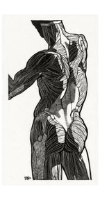 Törölköző (Reijer Stolk - Anatomical Study Of A Man IX)