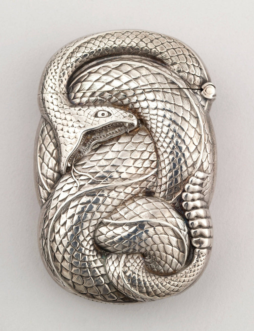 Modern stílusú hátizsák laptop zsebbel (William B. Kerr - Coiled Rattlesnake)
