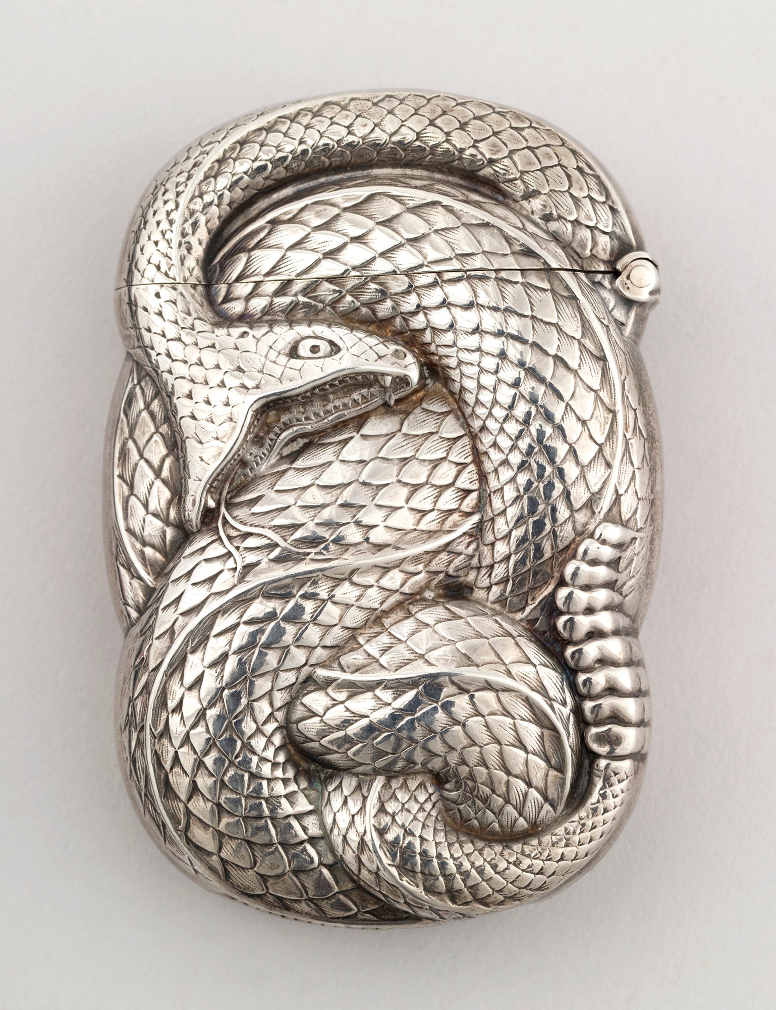 Modern stílusú hátizsák laptop zsebbel (William B. Kerr - Coiled Rattlesnake)