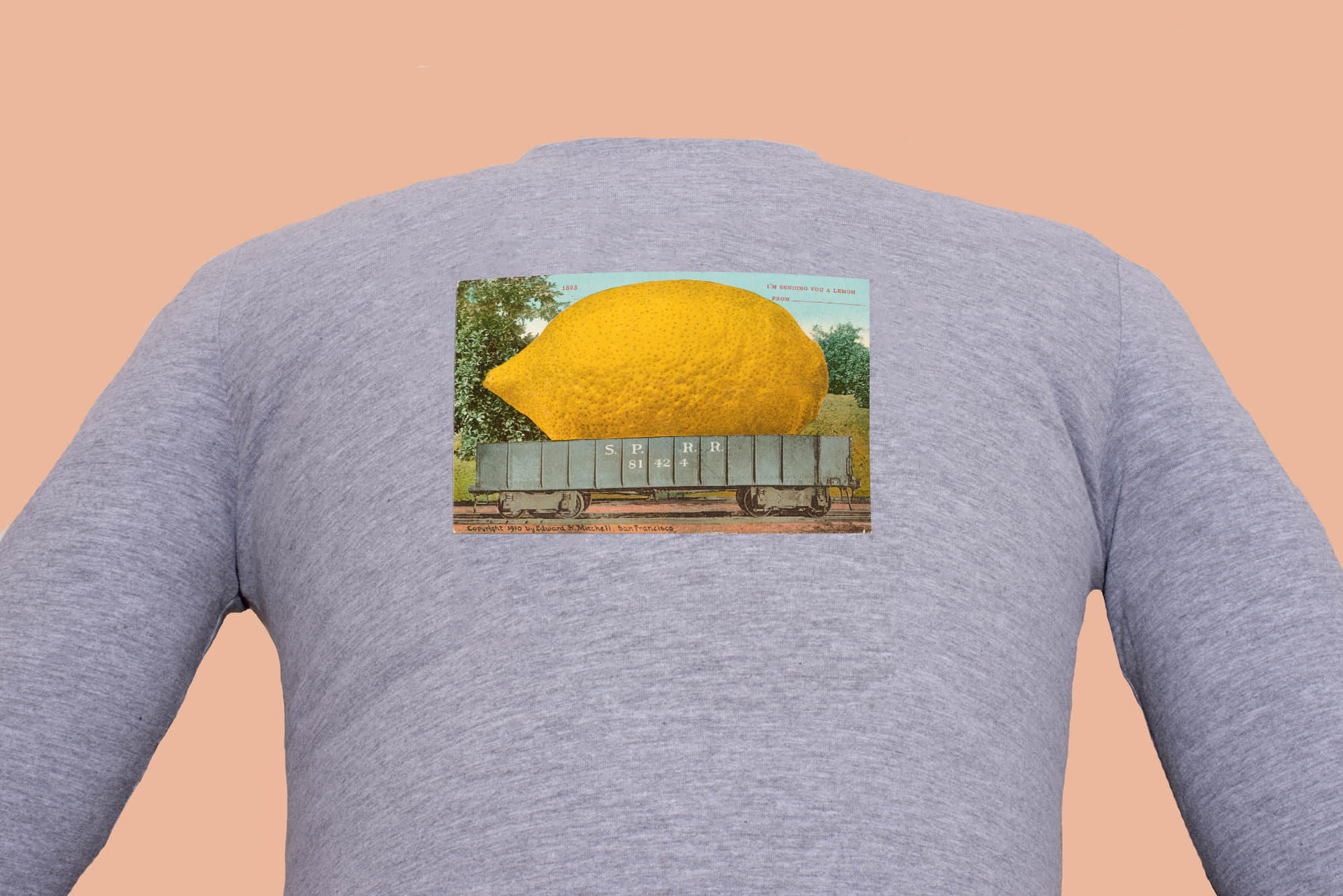 Hosszú ujjú póló (Edward H. Mitchell - I'm Sending You a Lemon)