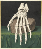 Női ujjatlan magas nyakú body (Jan l'Admiral - Skeleton of a hand)