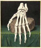 Fehér vászontáska fekete fogantyúval ( Jan l'Admiral - Skeleton of a hand )