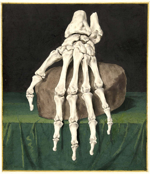 Hosszú női ruha ( Jan l'Admiral - Skeleton of a hand  )