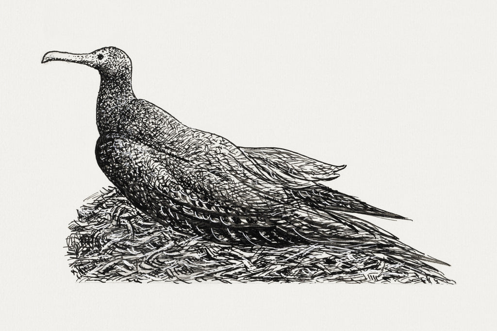 Oversized póló (Leo Gestel - Kormoran auf einem Nest)