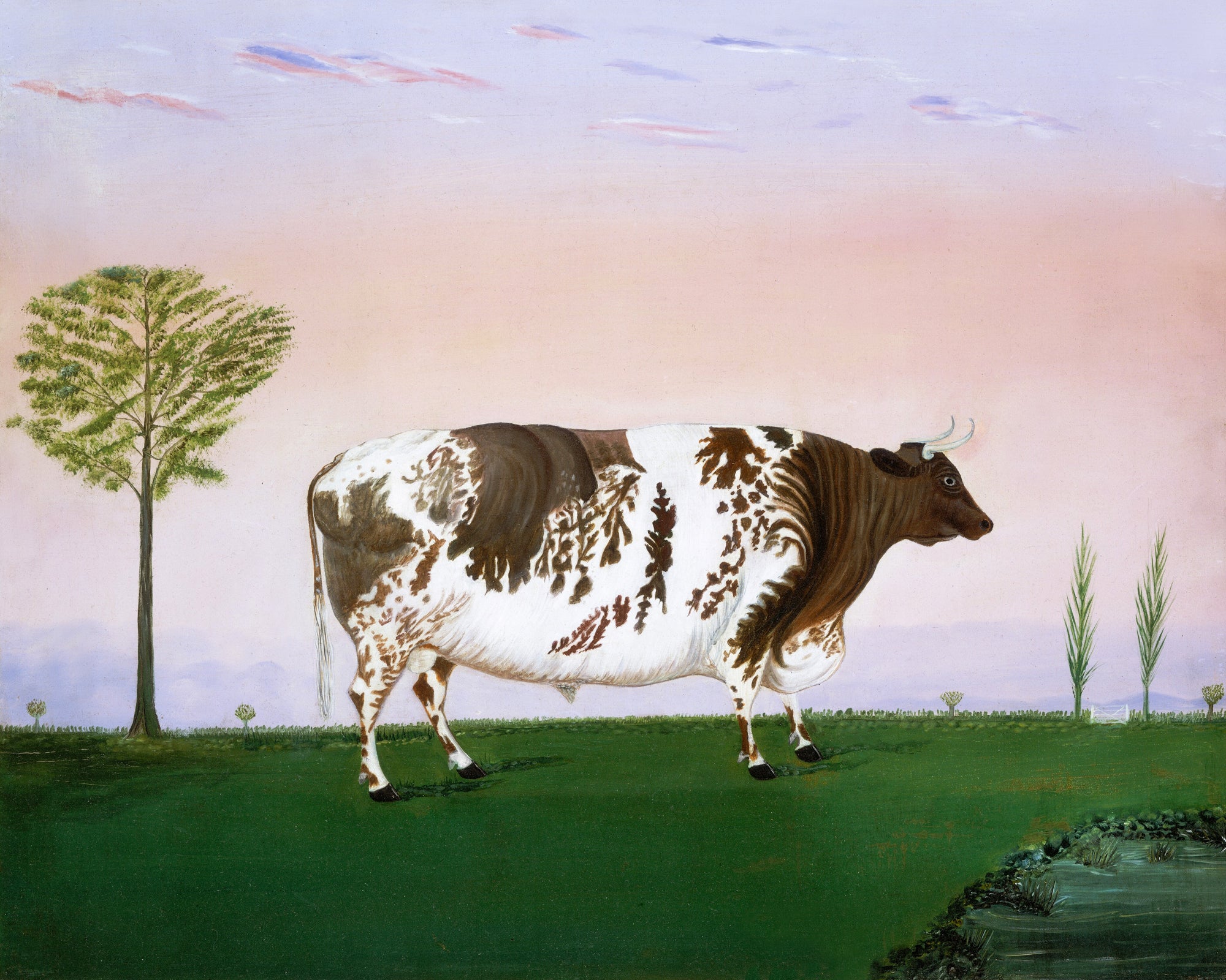 Polár takaró (H. Call - Prize Bull)