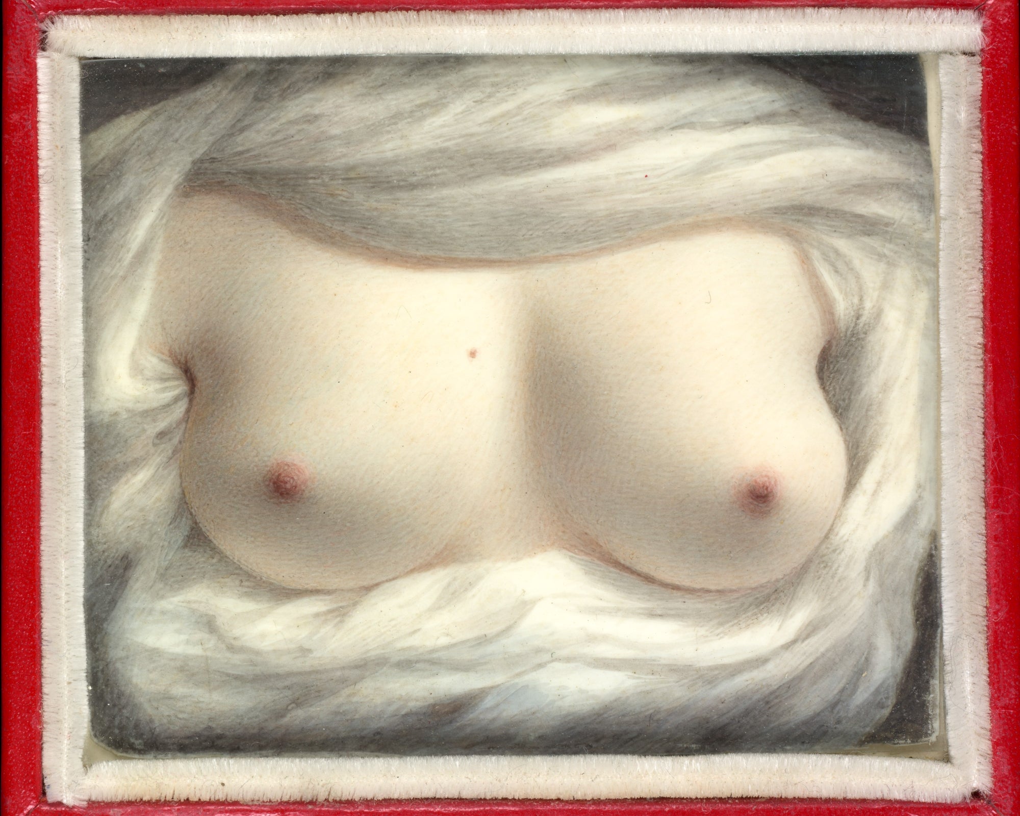 Polár takaró (Sarah Goodridge - Beauty Revealed)