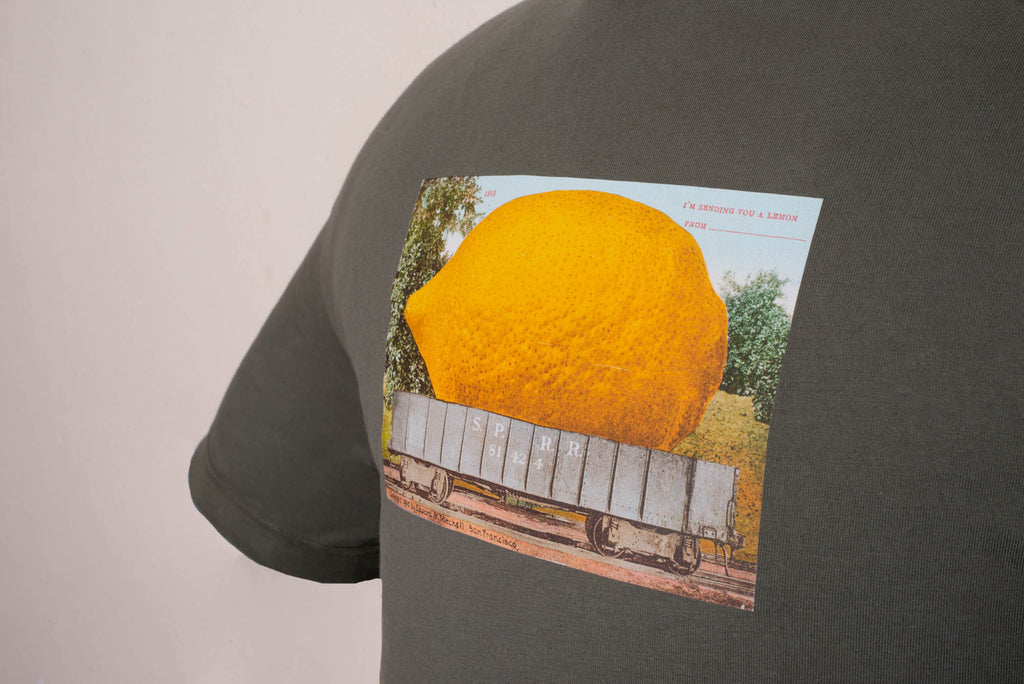 Oversized póló (Edward H. Mitchell - I'm Sending You a Lemon)