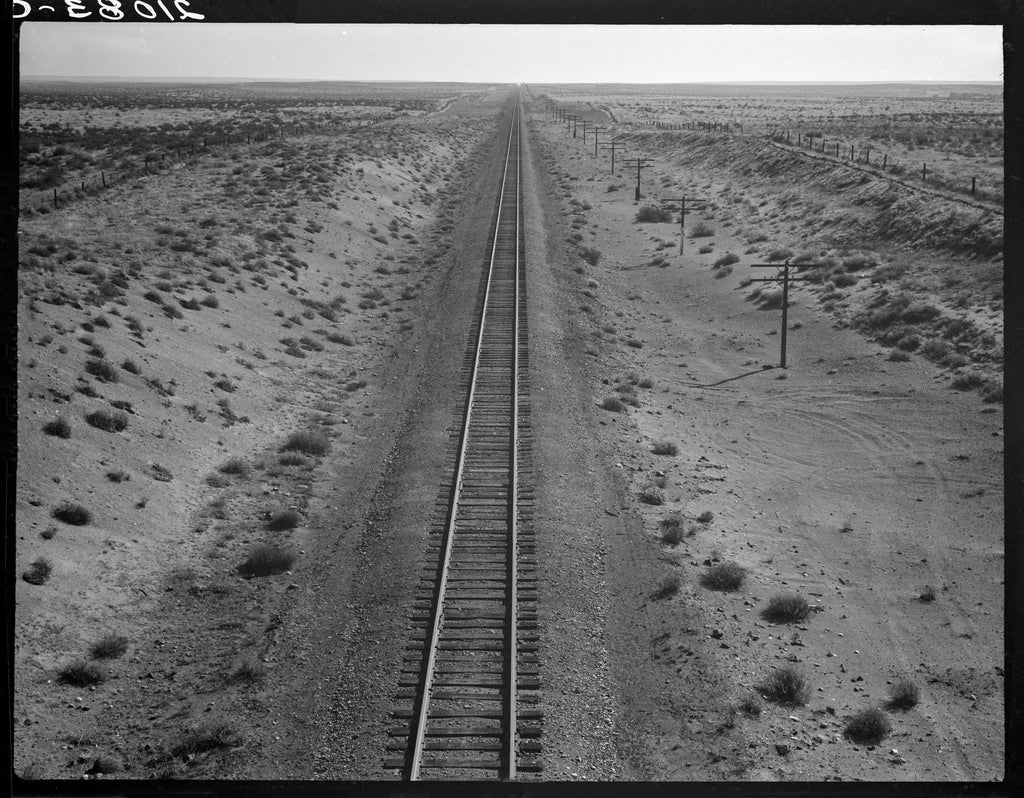 Női pólóruha ( Dorothea Lange - Railroad Tracks )