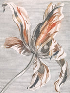 Modern stílusú hátizsák laptop zsebbel (Johan Teyler - Print in three colours, of a tulip)