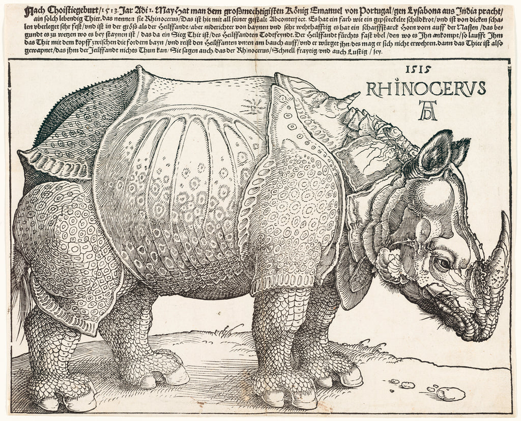 Vászon tornazsák (Albrecht Dürer - Rhinocerus)