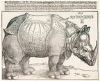 Vászon tornazsák (Albrecht Dürer - Rhinocerus)