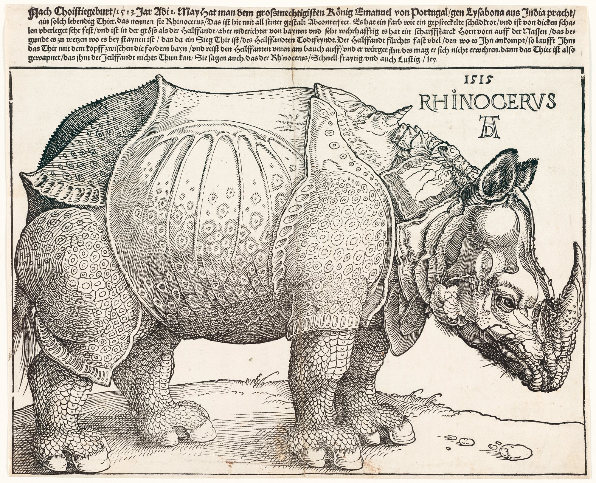 Vászon tornazsák (Albrecht Dürer - Rhinocerus)