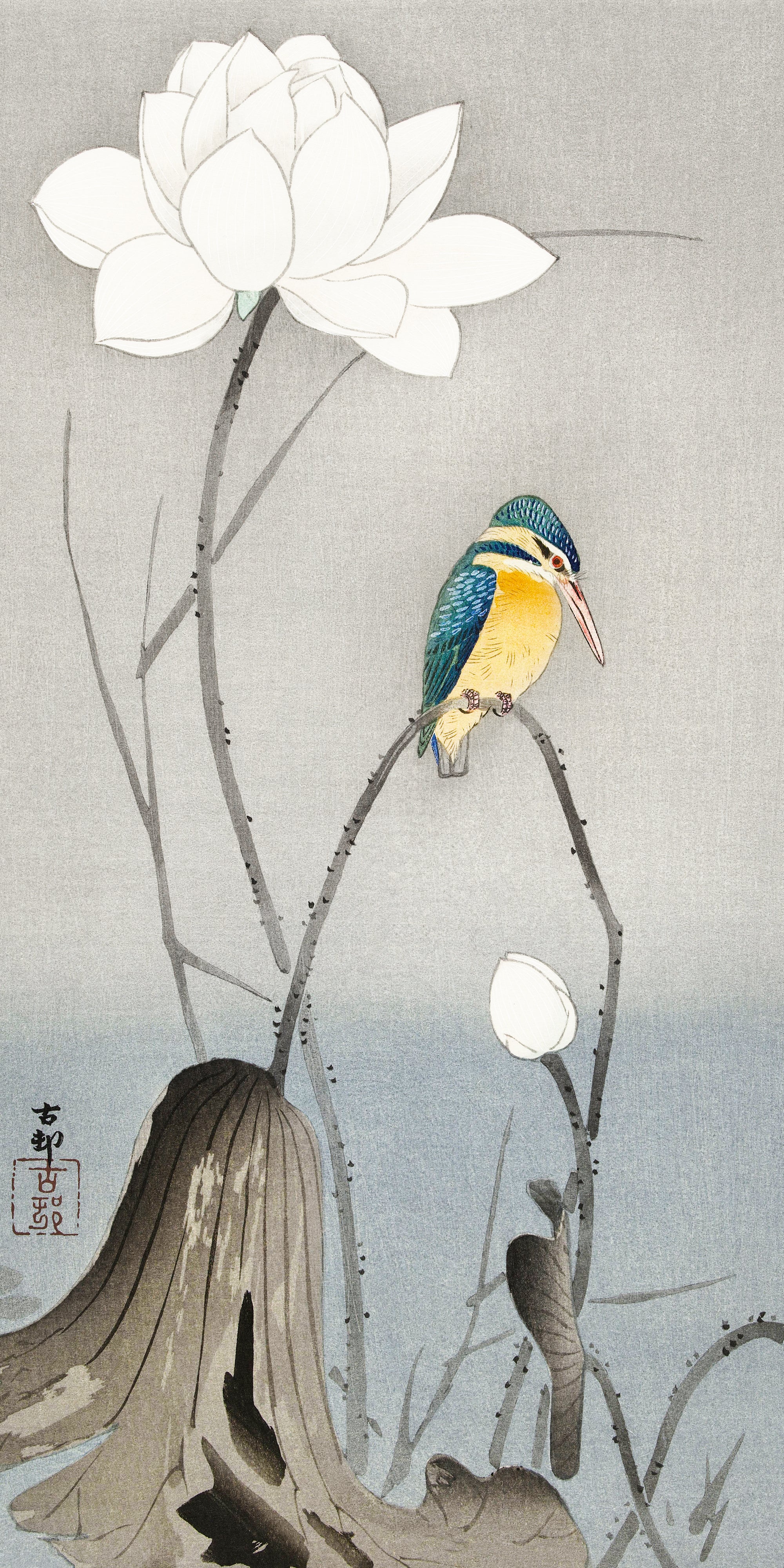 Törölköző (Ohara Koson - Kingfisher with Lotus Flower)
