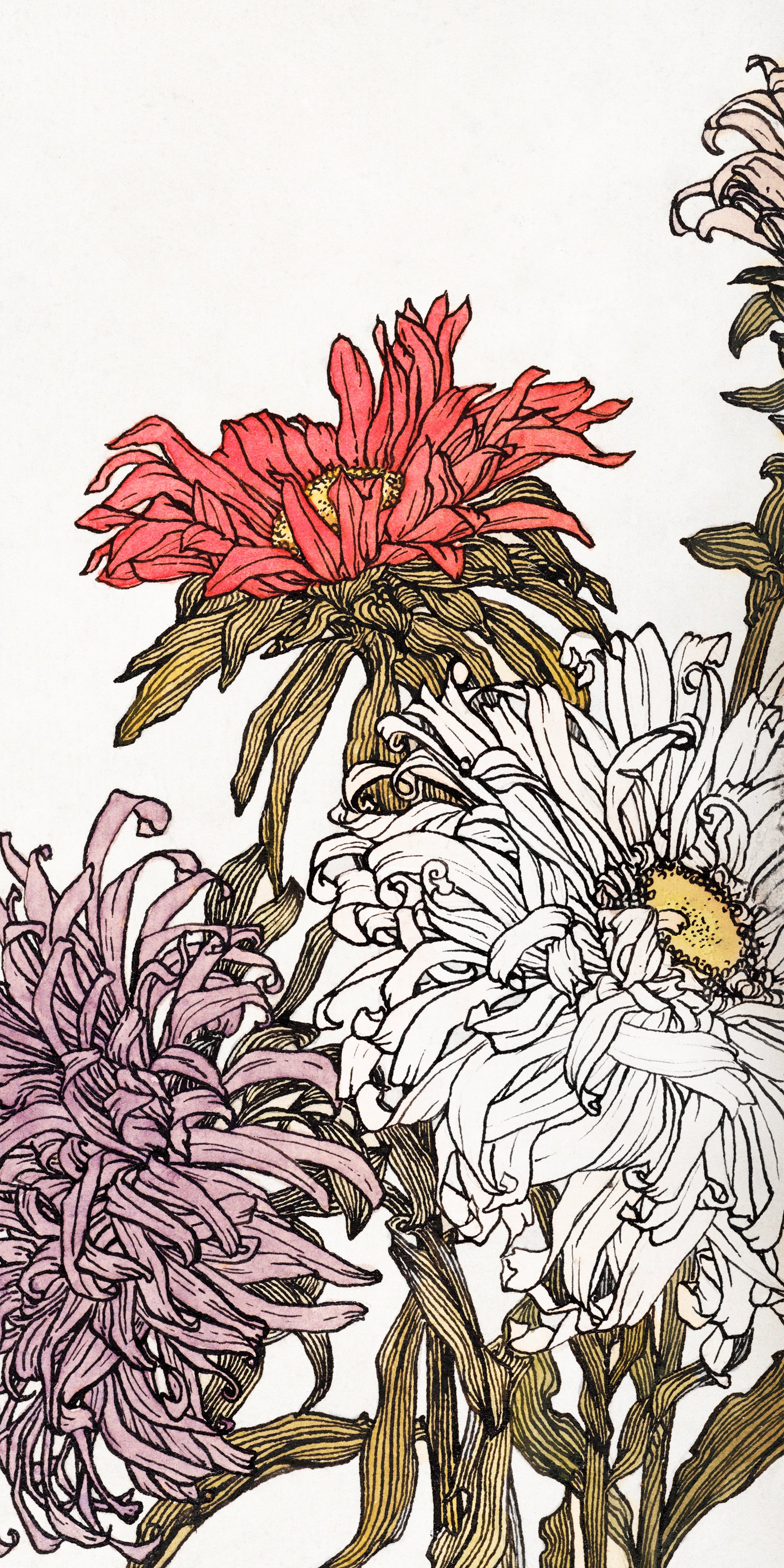 Törölköző (Julie de Graag - Chrysanthemums)