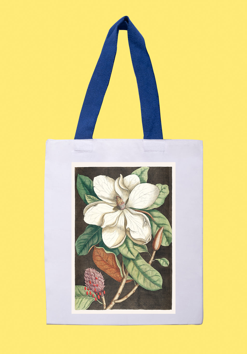 Fehér vászontáska kék fogantyúval (Georg Dionysius Ehret - Magnolia grandiflora)