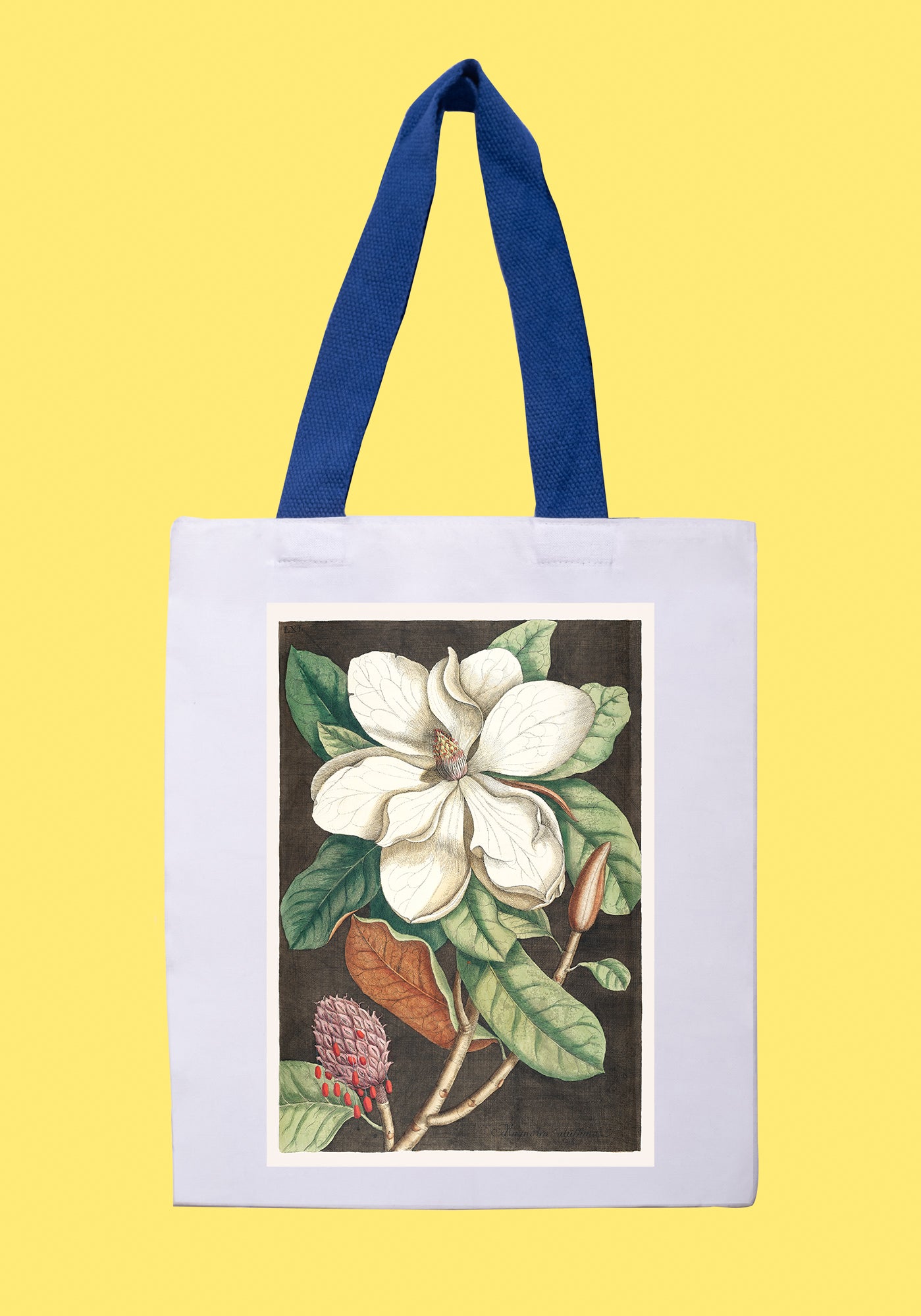 Fehér vászontáska kék fogantyúval (Georg Dionysius Ehret - Magnolia grandiflora)