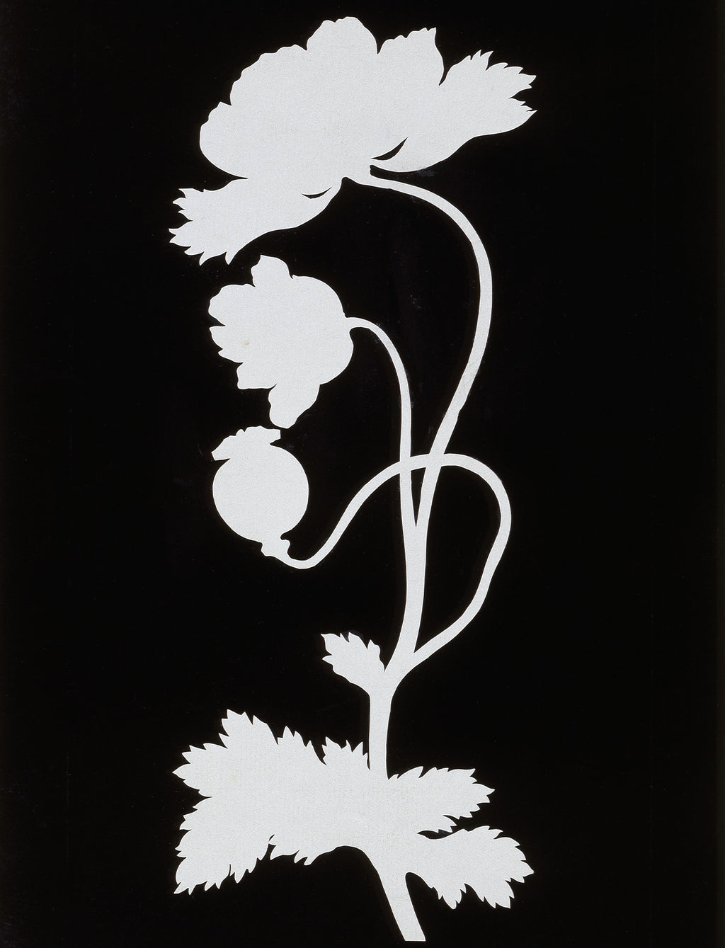 Wellsoft takaró (Phillip Otto Runge - Poppy)