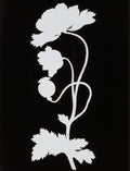 Wellsoft takaró (Phillip Otto Runge - Poppy)