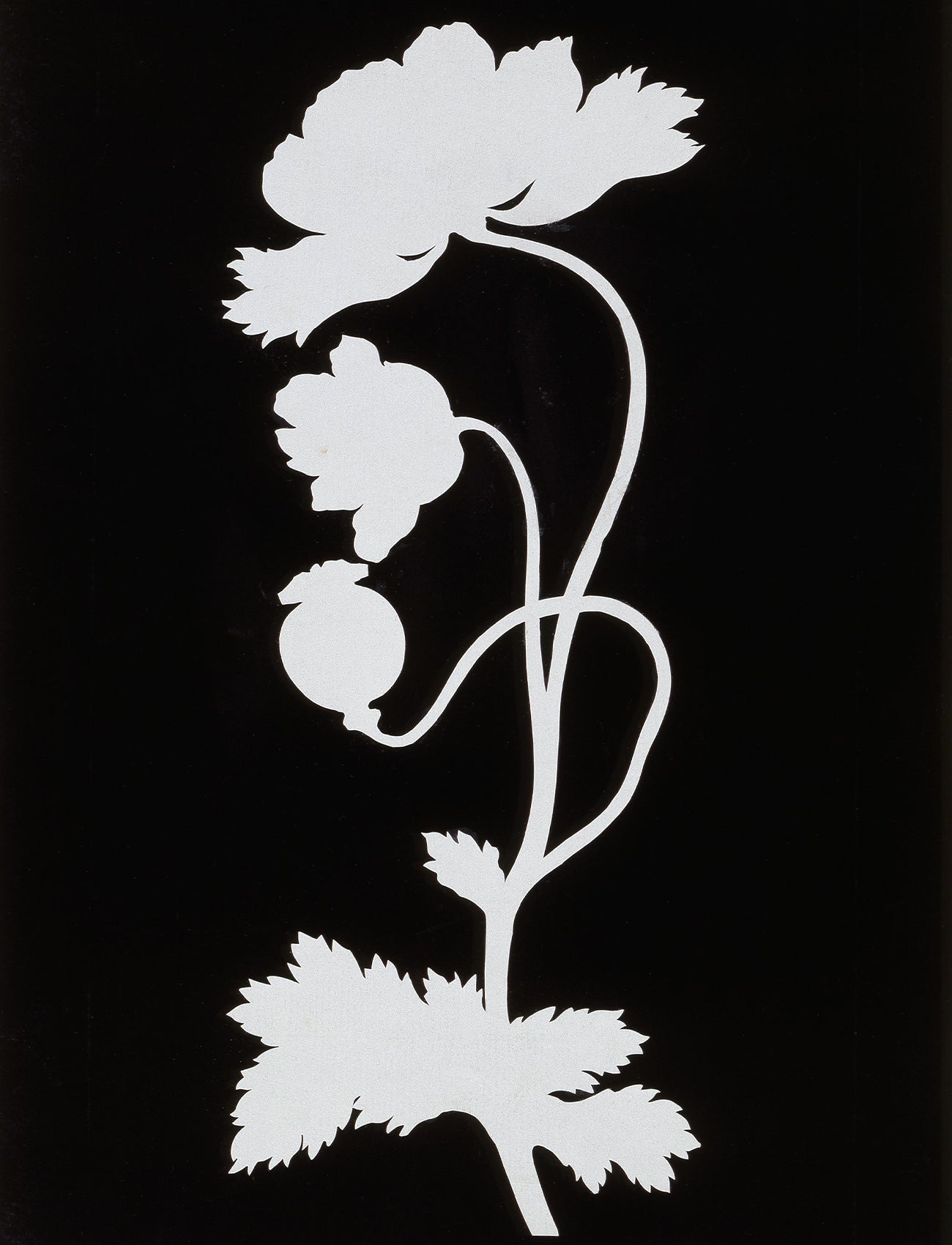 Wellsoft takaró (Phillip Otto Runge - Poppy)