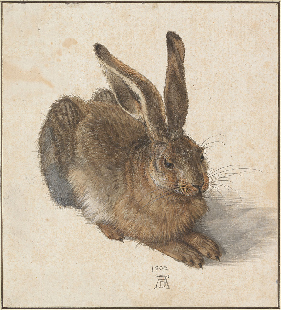 Hosszú női ruha ( Albrecht Dürer - Young Hare  )