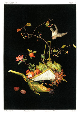 Vászon tornazsák (  G. A. Audsley - The Ornamental Arts of Japan )
