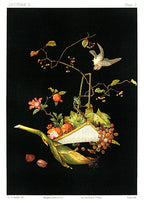 Vászon tornazsák (  G. A. Audsley - The Ornamental Arts of Japan )