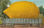 Vászon tornazsák ( Edward H. Mitchell - I'm Sending You a Lemon )