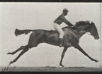Pamut pulóver - Unisex (Eadweard Muybridge - A galloping horse and rider)