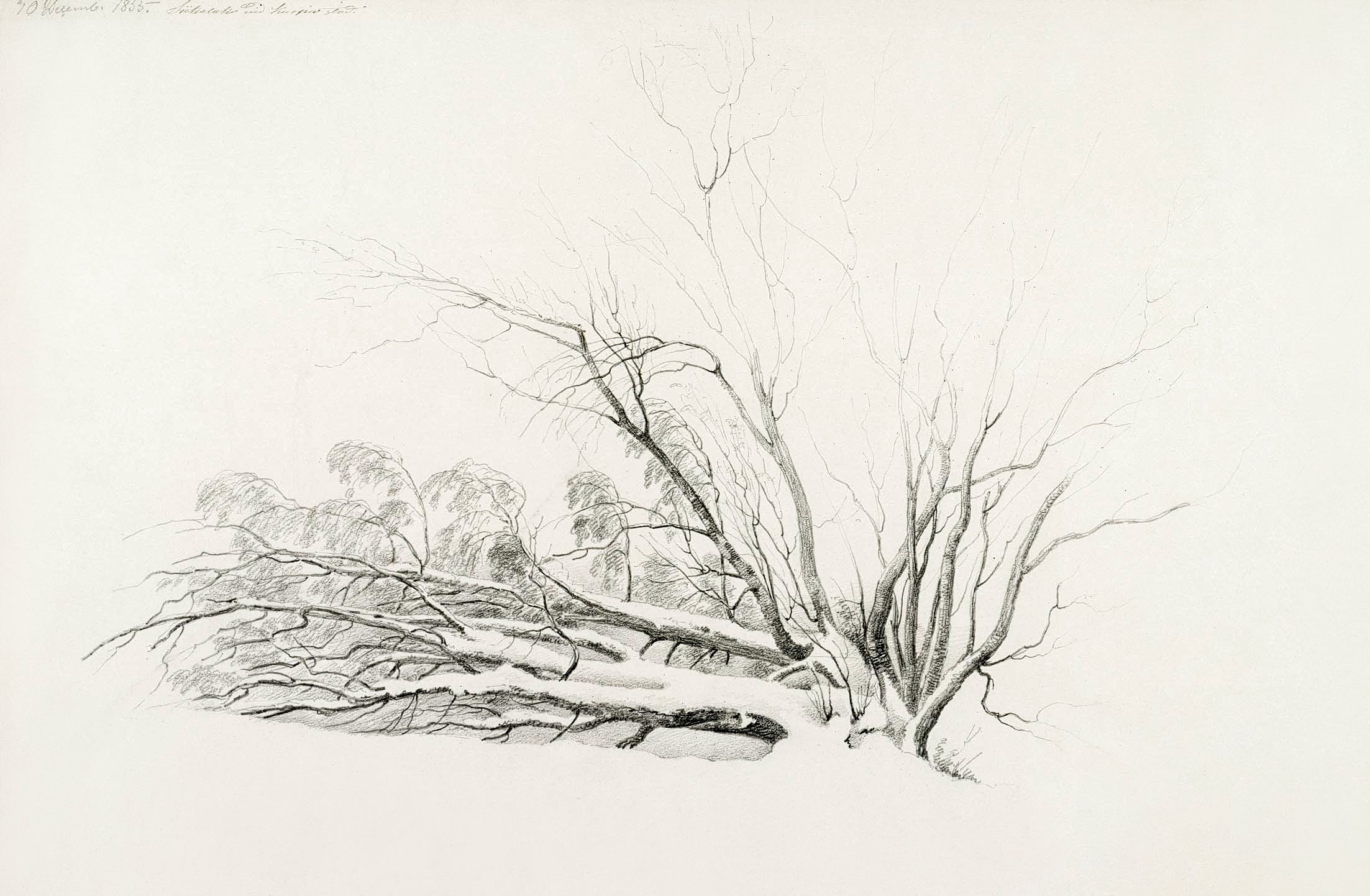 Pamut pulóver- Unisex (Camille Pissarro- Winter Tree)