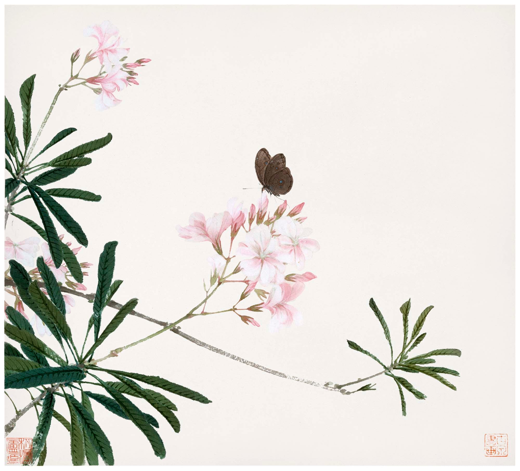 Rövid szabású női kapucnis melegítőfelső ( Ju Lian - Insects and Flowers )