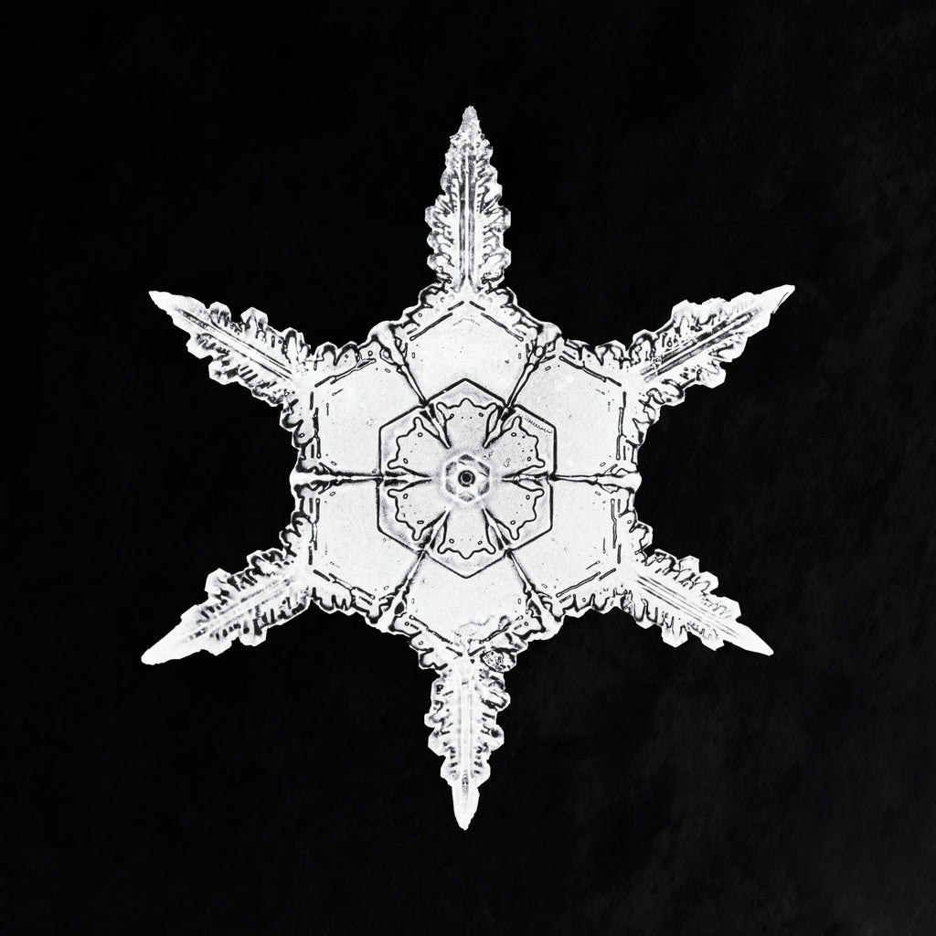 Pamut pulóver - Unisex (Wilson Bentley - Snowflake)