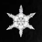 Pamut pulóver - Unisex (Wilson Bentley - Snowflake)