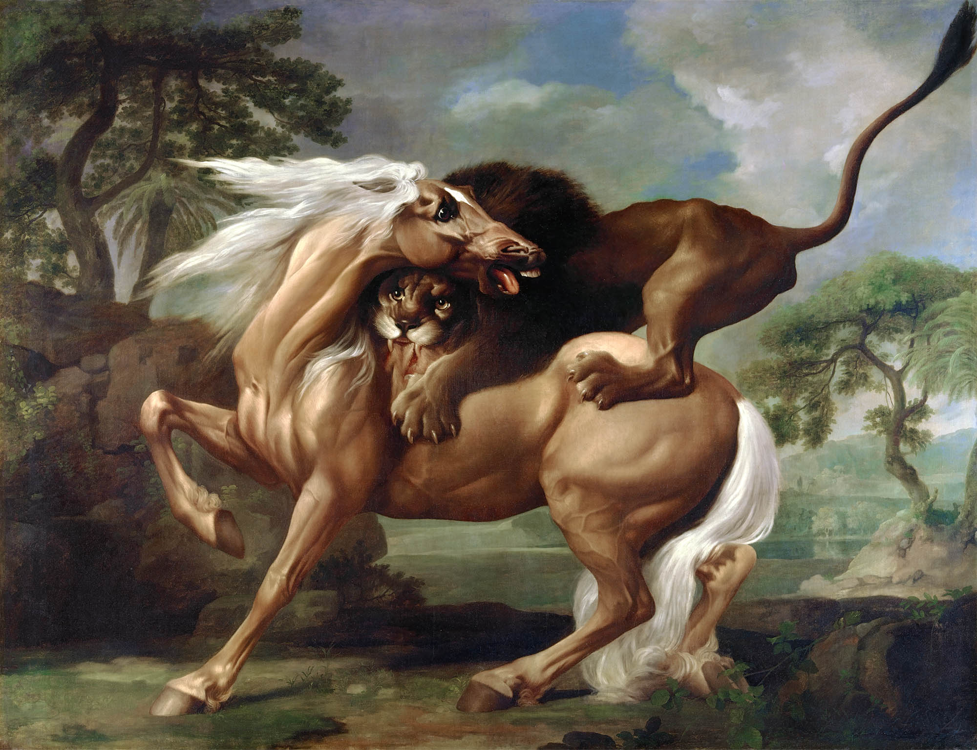 Női crop top ( George Stubbs - A Lion Attacking a Horse )